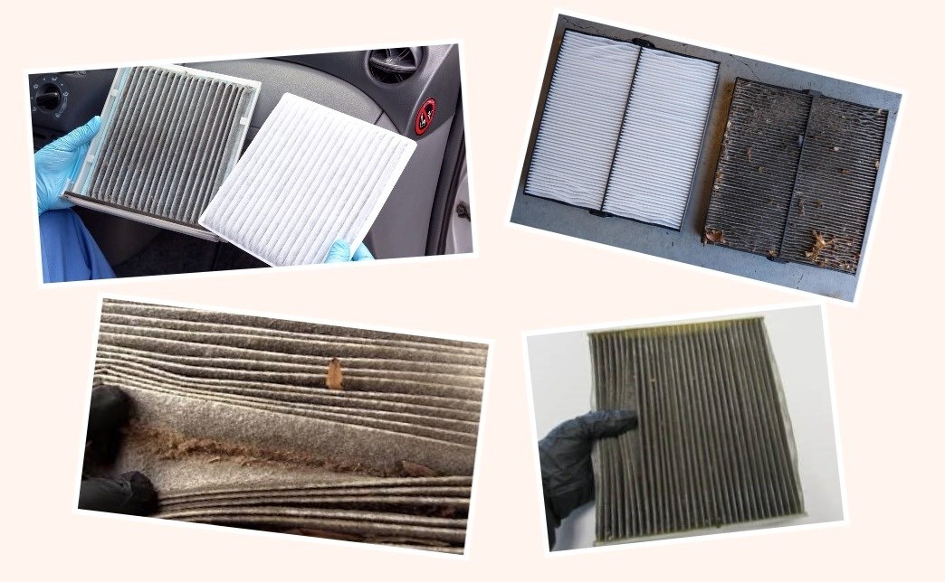 Cabin Air Filter Maintenance